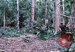Standbild 1 Air Cavalry Division Kambodscha, 1970, aus Sekunde 22 historischem Filmmaterial Videoclip 65675021064