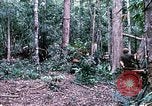 Standbild 1 Air Cavalry Division Kambodscha, 1970, aus Sekunde 25 historischem Filmmaterial Videoclip 65675021064