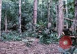 Standbild 1 Air Cavalry Division Kambodscha, 1970, aus Sekunde 26 historischem Filmmaterial Videoclip 65675021064