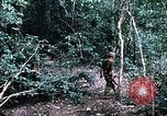 Standbild 1 Air Cavalry Division Kambodscha, 1970, aus Sekunde 20 historischem Filmmaterial Videoclip 65675021065