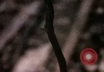 Standbild 1 Air Cavalry Division Kambodscha, 1970, aus Sekunde 35 historischem Filmmaterial Videoclip 65675021065
