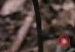 Standbild 1 Air Cavalry Division Kambodscha, 1970, aus Sekunde 36 historischem Filmmaterial Videoclip 65675021065