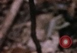 Standbild 1 Air Cavalry Division Kambodscha, 1970, aus Sekunde 37 historischem Filmmaterial Videoclip 65675021065