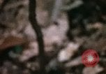 Standbild 1 Air Cavalry Division Kambodscha, 1970, aus Sekunde 38 historischem Filmmaterial Videoclip 65675021065