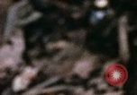 Standbild 1 Air Cavalry Division Kambodscha, 1970, aus Sekunde 39 historischem Filmmaterial Videoclip 65675021065