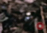 Standbild 1 Air Cavalry Division Kambodscha, 1970, aus Sekunde 41 historischem Filmmaterial Videoclip 65675021065