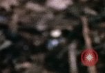 Standbild 1 Air Cavalry Division Kambodscha, 1970, aus Sekunde 43 historischem Filmmaterial Videoclip 65675021065