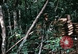 Standbild 1 Air Cavalry Division Kambodscha, 1970, aus Sekunde 49 historischem Filmmaterial Videoclip 65675021065