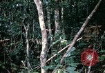 Standbild 1 Air Cavalry Division Kambodscha, 1970, aus Sekunde 52 historischem Filmmaterial Videoclip 65675021065
