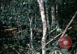 Standbild 1 Air Cavalry Division Kambodscha, 1970, aus Sekunde 53 historischem Filmmaterial Videoclip 65675021065
