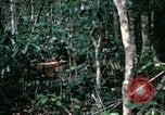 Standbild 1 Air Cavalry Division Kambodscha, 1970, aus Sekunde 54 historischem Filmmaterial Videoclip 65675021065