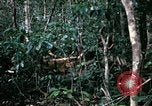 Standbild 1 Air Cavalry Division Kambodscha, 1970, aus Sekunde 55 historischem Filmmaterial Videoclip 65675021065