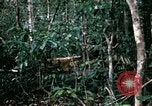 Standbild 1 Air Cavalry Division Kambodscha, 1970, aus Sekunde 56 historischem Filmmaterial Videoclip 65675021065