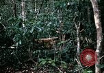 Standbild 1 Air Cavalry Division Kambodscha, 1970, aus Sekunde 57 historischem Filmmaterial Videoclip 65675021065