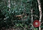 Standbild 1 Air Cavalry Division Kambodscha, 1970, aus Sekunde 58 historischem Filmmaterial Videoclip 65675021065