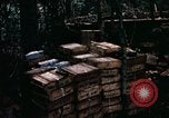 Standbild 1 Air Cavalry Division Kambodscha, 1970, aus Sekunde 26 historischem Filmmaterial Videoclip 65675021066