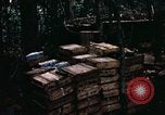 Standbild 1 Air Cavalry Division Kambodscha, 1970, aus Sekunde 27 historischem Filmmaterial Videoclip 65675021066