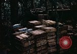 Standbild 1 Air Cavalry Division Kambodscha, 1970, aus Sekunde 28 historischem Filmmaterial Videoclip 65675021066