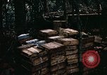Standbild 1 Air Cavalry Division Kambodscha, 1970, aus Sekunde 29 historischem Filmmaterial Videoclip 65675021066