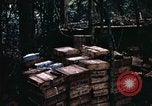 Standbild 1 Air Cavalry Division Kambodscha, 1970, aus Sekunde 31 historischem Filmmaterial Videoclip 65675021066