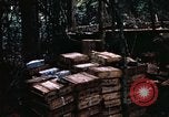 Standbild 1 Air Cavalry Division Kambodscha, 1970, aus Sekunde 32 historischem Filmmaterial Videoclip 65675021066
