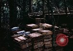 Standbild 1 Air Cavalry Division Kambodscha, 1970, aus Sekunde 33 historischem Filmmaterial Videoclip 65675021066