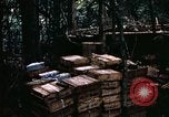 Standbild 1 Air Cavalry Division Kambodscha, 1970, aus Sekunde 34 historischem Filmmaterial Videoclip 65675021066