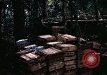 Standbild 1 Air Cavalry Division Kambodscha, 1970, aus Sekunde 35 historischem Filmmaterial Videoclip 65675021066