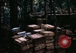 Standbild 1 Air Cavalry Division Kambodscha, 1970, aus Sekunde 36 historischem Filmmaterial Videoclip 65675021066