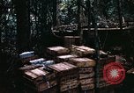 Standbild 1 Air Cavalry Division Kambodscha, 1970, aus Sekunde 38 historischem Filmmaterial Videoclip 65675021066