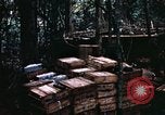 Standbild 1 Air Cavalry Division Kambodscha, 1970, aus Sekunde 39 historischem Filmmaterial Videoclip 65675021066