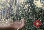 Standbild 1 Air Cavalry Division Kambodscha, 1970, aus Sekunde 51 historischem Filmmaterial Videoclip 65675021066
