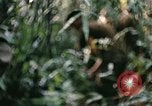 Standbild 1 Air Cavalry Division Kambodscha, 1970, aus Sekunde 54 historischem Filmmaterial Videoclip 65675021066