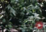 Standbild 1 Air Cavalry Division Kambodscha, 1970, aus Sekunde 58 historischem Filmmaterial Videoclip 65675021066