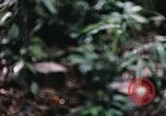 Standbild 1 Air Cavalry Division Kambodscha, 1970, aus Sekunde 60 historischem Filmmaterial Videoclip 65675021066