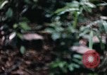 Standbild 1 Air Cavalry Division Kambodscha, 1970, aus Sekunde 62 historischem Filmmaterial Videoclip 65675021066