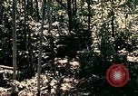 Standbild 1 Air Cavalry Division Kambodscha, 1970, aus Sekunde 52 historischem Filmmaterial Videoclip 65675021069
