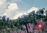 Standbild 1 Air Cavalry Division Kambodscha, 1970, aus Sekunde 19 historischem Filmmaterial Videoclip 65675021070
