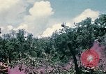 Standbild 1 Air Cavalry Division Kambodscha, 1970, aus Sekunde 22 historischem Filmmaterial Videoclip 65675021070