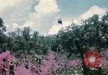 Standbild 1 Air Cavalry Division Kambodscha, 1970, aus Sekunde 25 historischem Filmmaterial Videoclip 65675021070