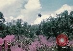 Standbild 1 Air Cavalry Division Kambodscha, 1970, aus Sekunde 26 historischem Filmmaterial Videoclip 65675021070