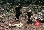 Standbild 1 Air Cavalry Division Kambodscha, 1970, aus Sekunde 16 historischem Filmmaterial Videoclip 65675021071