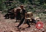 Standbild 1 Air Cavalry Division Kambodscha, 1970, aus Sekunde 24 historischem Filmmaterial Videoclip 65675021071