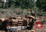 Standbild 1 Air Cavalry Division Kambodscha, 1970, aus Sekunde 29 historischem Filmmaterial Videoclip 65675021071
