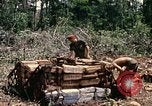 Standbild 1 Air Cavalry Division Kambodscha, 1970, aus Sekunde 31 historischem Filmmaterial Videoclip 65675021071