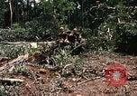 Standbild 1 Air Cavalry Division Kambodscha, 1970, aus Sekunde 38 historischem Filmmaterial Videoclip 65675021071