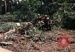 Standbild 1 Air Cavalry Division Kambodscha, 1970, aus Sekunde 39 historischem Filmmaterial Videoclip 65675021071