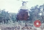 Immagine di 1° aria divisione di cavalleria Cambogia, 1970, secondo 55 filmato di repertorio 65675021072