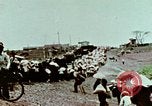 Image of American airlift of Vietnamese refugees Saigon Vietnam, 1975, second 1 stock footage video 65675021076