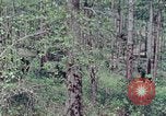 Image of Troops and equipment delivered by air United States USA, 1976, second 1 stock footage video 65675021079